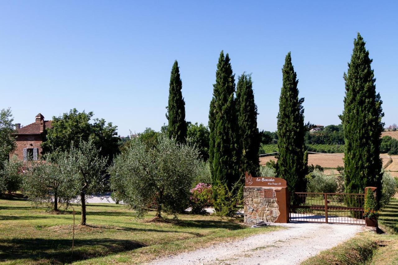 Marciano della ChianaLa Bacaia别墅 外观 照片